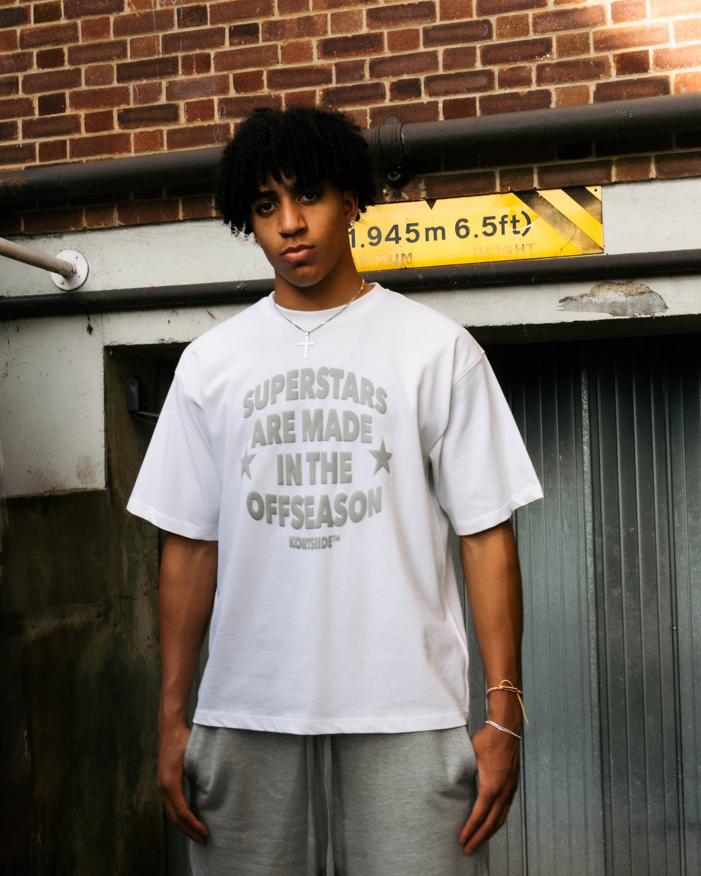 SUPERSTAR CLASSIC T-SHIRT WHITE | GREY